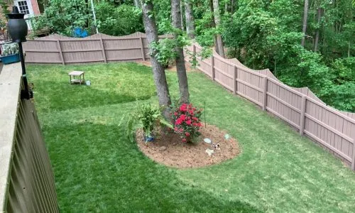 Completed Fence Staining Project