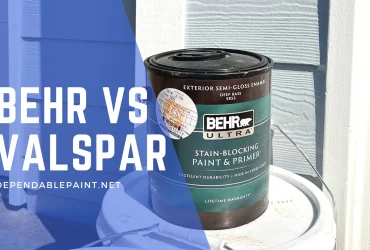 Valspar vs Behr Paint